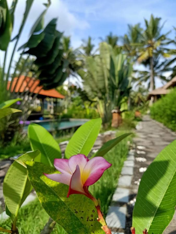 Taman Bintang Villa Ubud Exterior foto